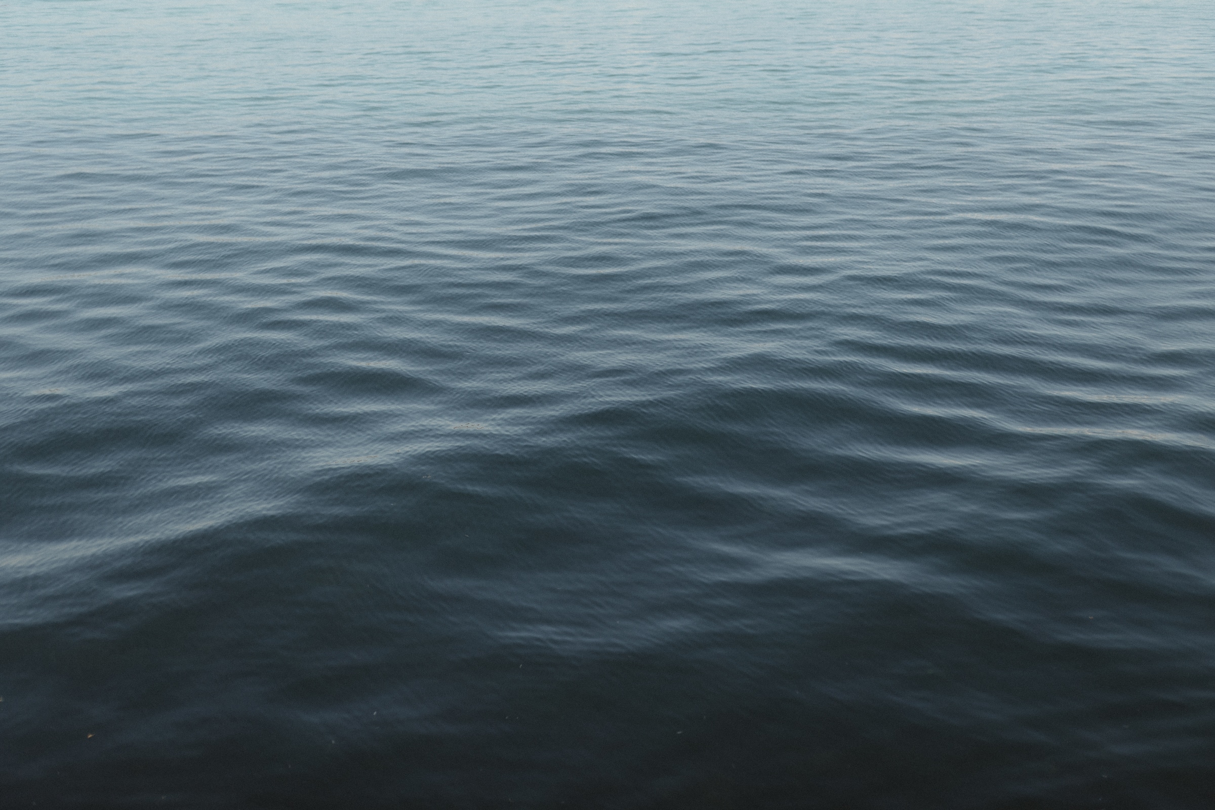 Photographie par Deep. Photo naturelle à Quimper