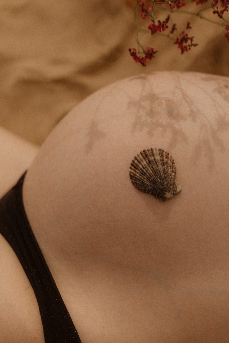 photographie gros plan d'un coquillage délicatement posé sur un ventre de femme enceinte